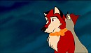 MY OWN BALTO/JENNA PUPPY