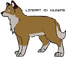 BALTO LINEART