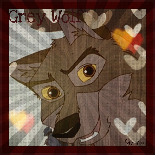 cadeau modos: grew wolf