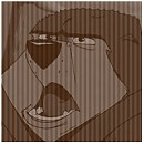 Nikki avatar