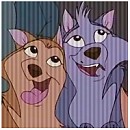 Steele's fangirls avatar