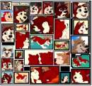 Puppies!