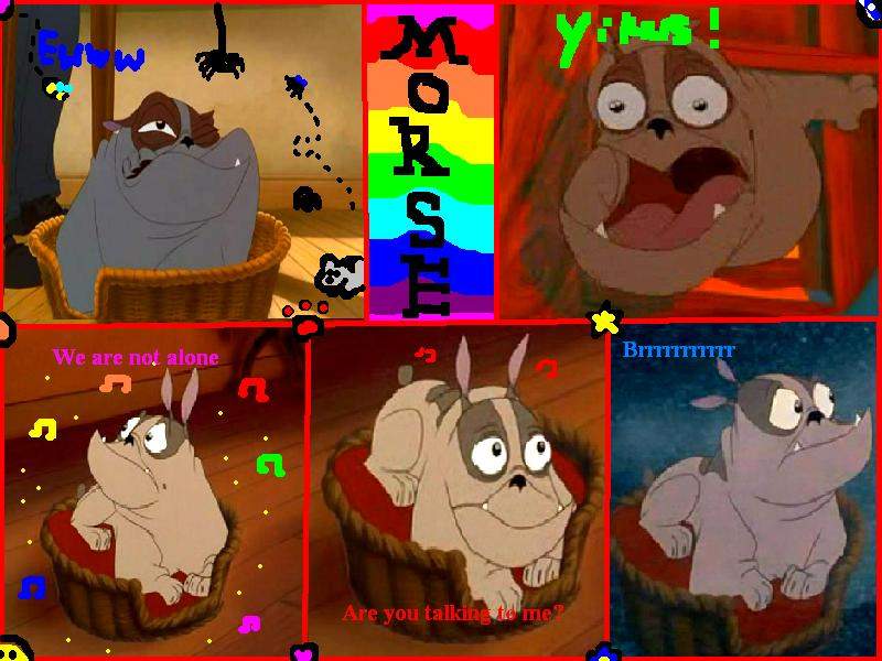 Morse