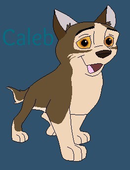 Caleb  (contest entry for xSilencex)