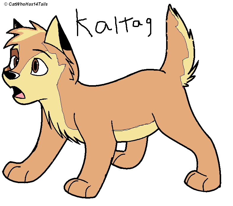 Baby Kaltag.