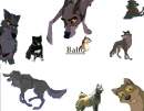 balto!!