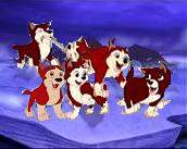 puppies!