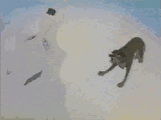 Howl (animation)