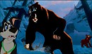 The Bear