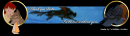 A Balto 