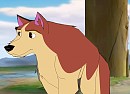 Dingo render