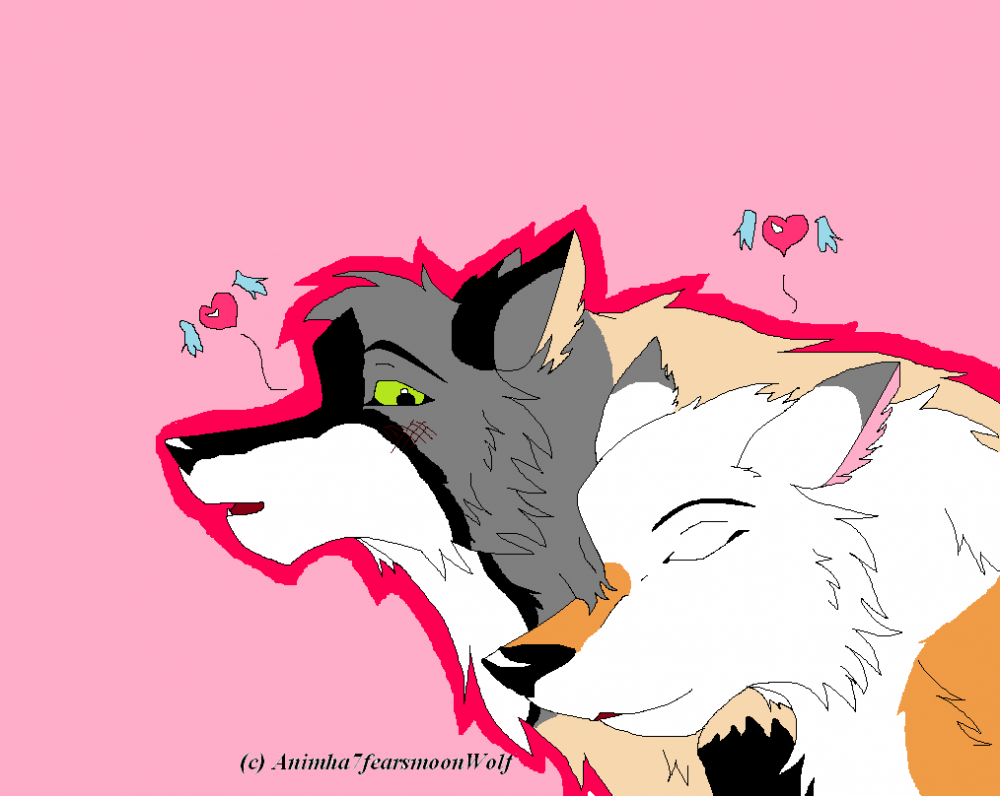 - Dominus & Kanto -