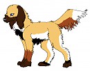 - Female Chatsee... xD -