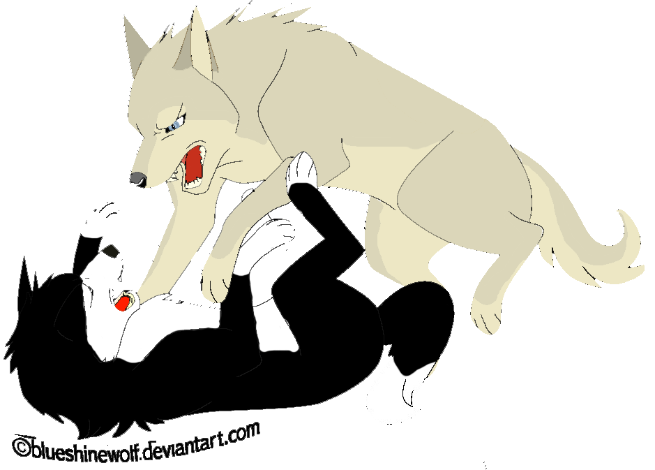 Wolves fight