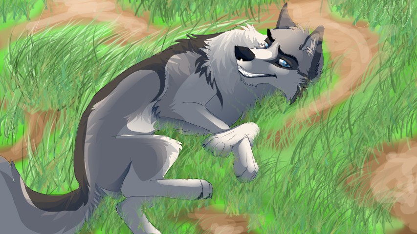 Today i don't feel like doing anything 
