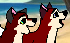 double brother