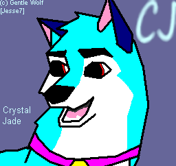 CJ avvie!