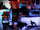 Trust The Wolf