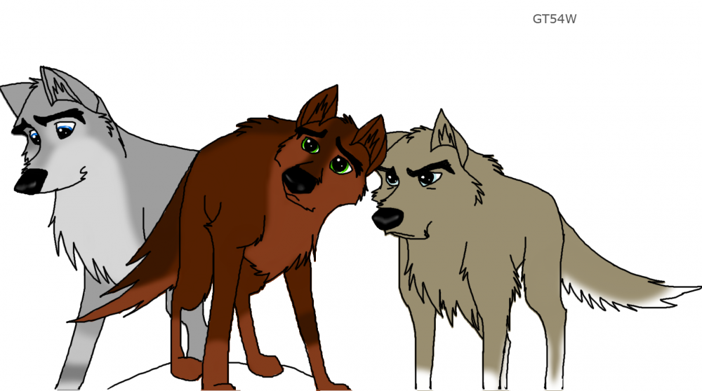 Coloured wolf Trio 
