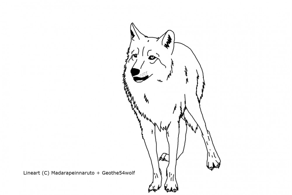 Empty lineart 4