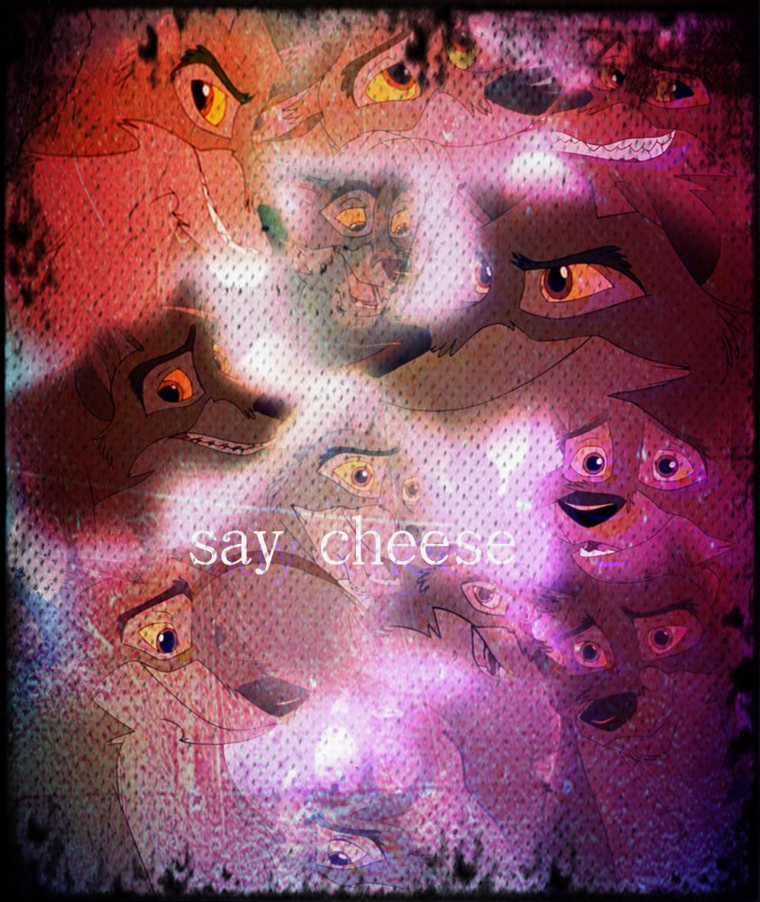 say cheese