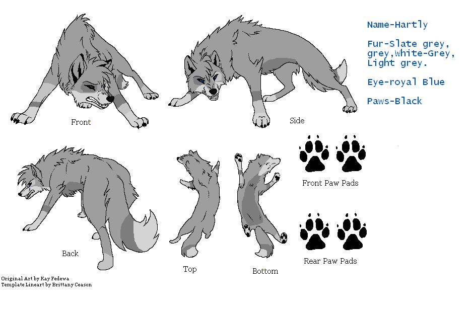 Hartly char. sheet