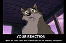 Your reaction Meme