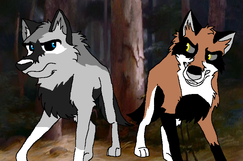 TWO BROTHERS 2 ADOPT!