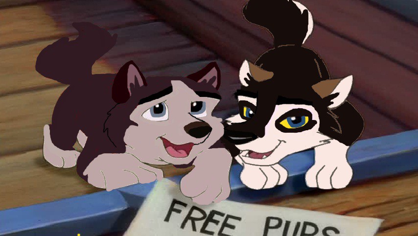 Nijeun & Aleun 
