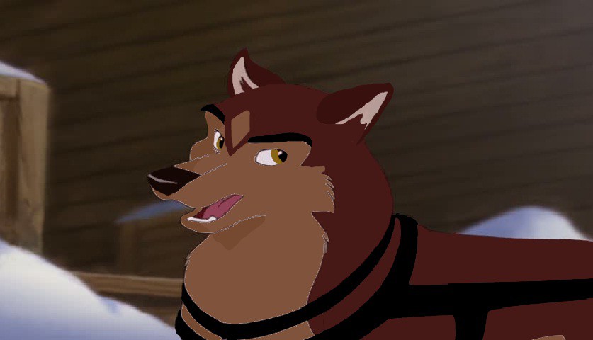 Kaya lead dog