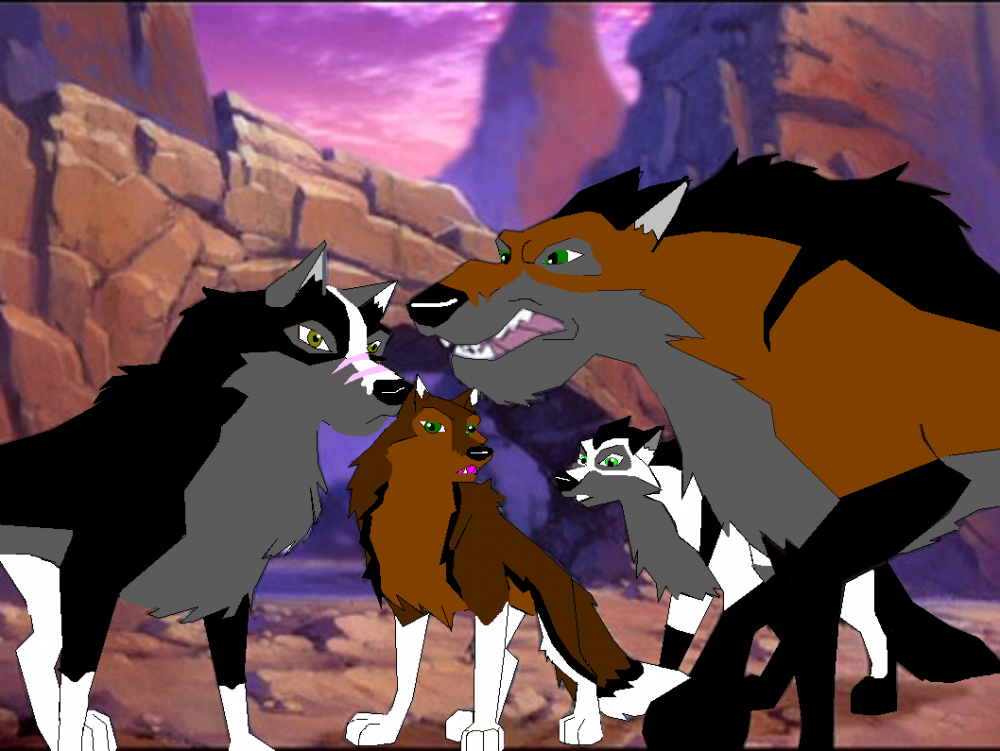 Feuding wolves!