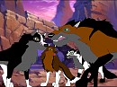 Feuding wolves!