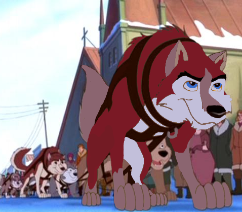 Kyle the sleddog!