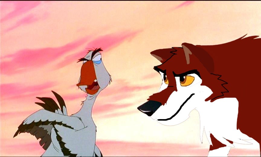 Dingo arguing with Boris