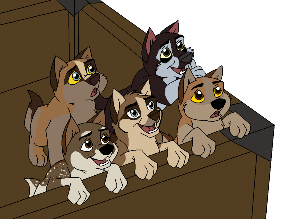 Sebatha, her siblings and mixed up pup