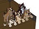 Sebatha, her siblings and mixed up pup
