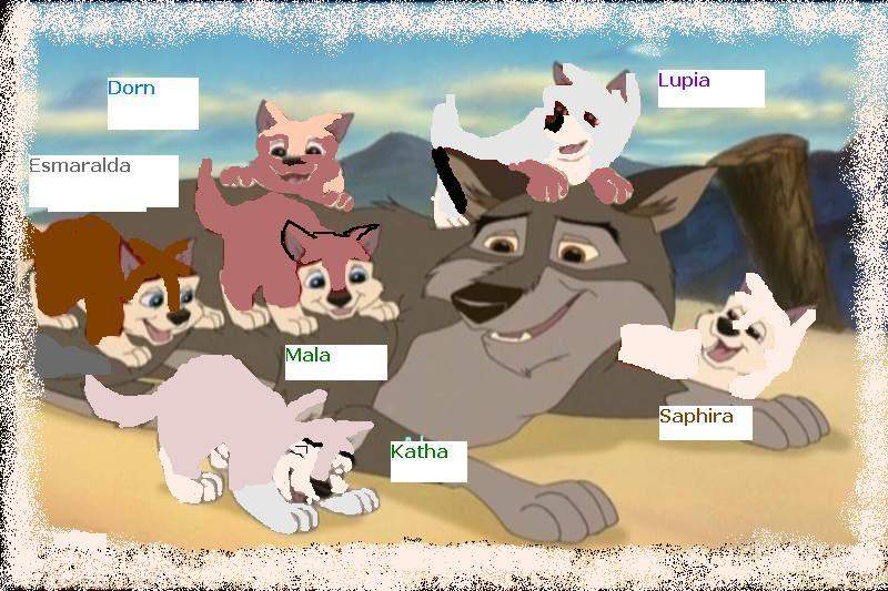 Aleu and Koca´s Litter