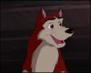 My version of Dingo !