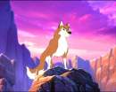 Verdana, Dingo's mate