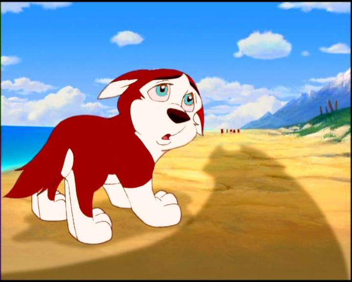 Puppy Saba