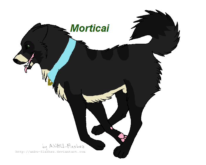 Morticai for Aicmkay