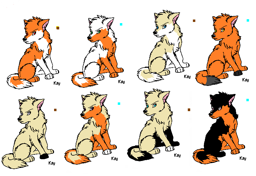 Daybreaker and Daffodil puppies
