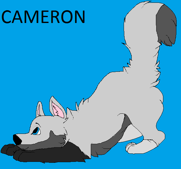 Cameron
