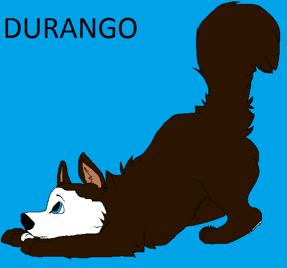 Baby Durango