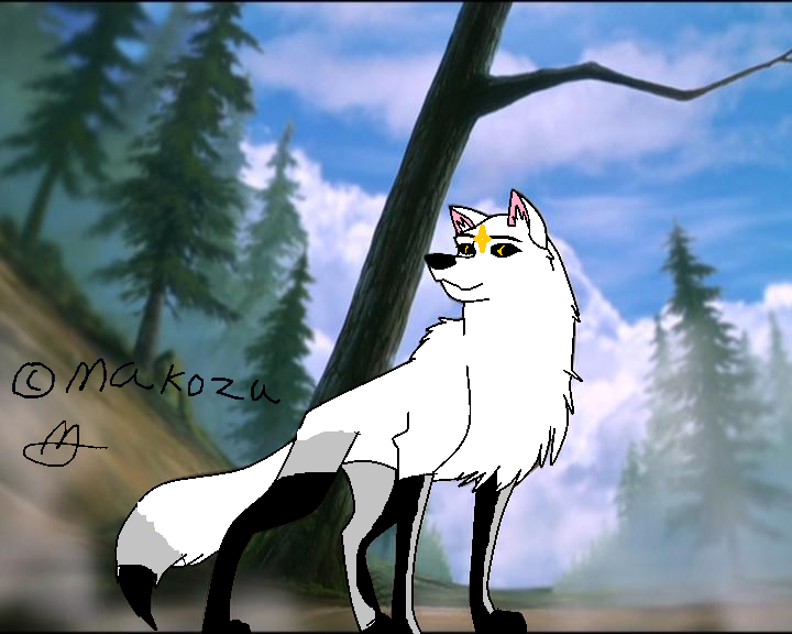 Random Star