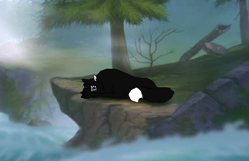 Poor Twilight