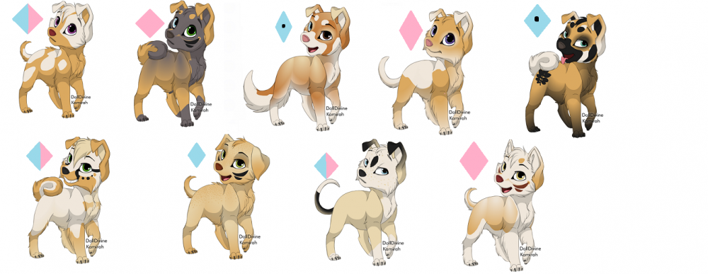 Puppehs for Adoption: Court X Rae puppehs!!!