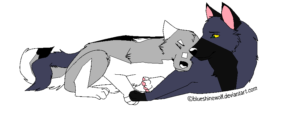 Gift for Akida