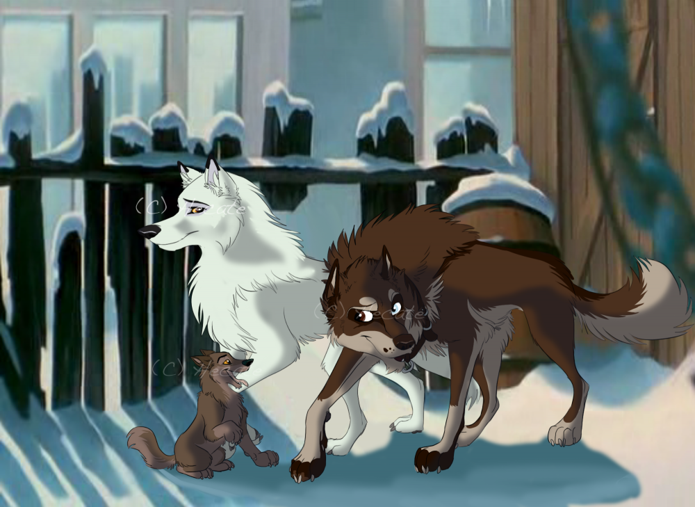 Balto's family