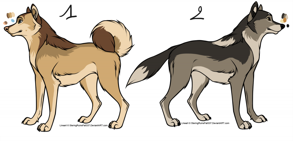 Adoptables